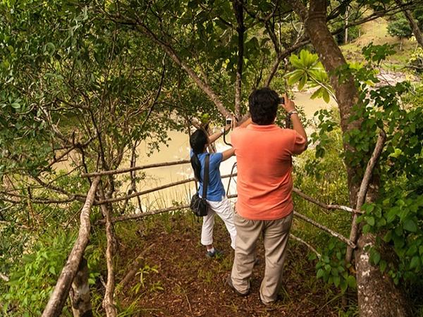 Tour Observación De Aves