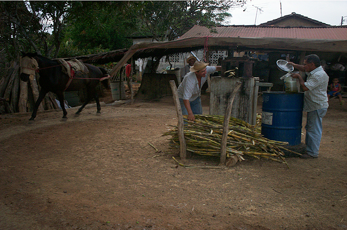 Local Agroturism Family Farm Visit Tour