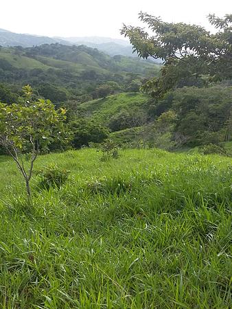 Tour Observación De Aves