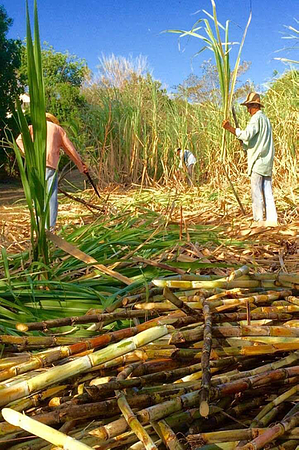 Tour Visita A Granja Agroturistica Familiar 