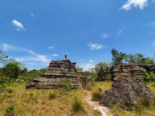 Guaviare Salvaje