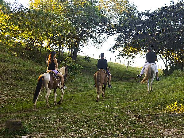 Horseback Riding In Tiuma Park