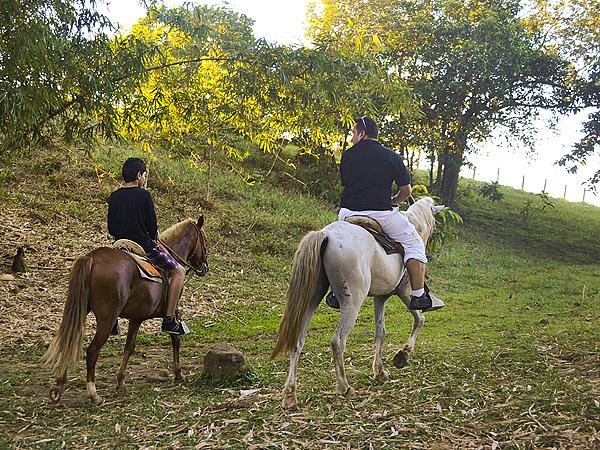Horseback Riding In Tiuma Park