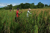 Local Dairy Farm Working Tour