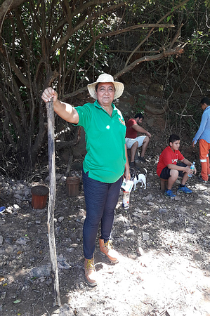 Mangrove Exploration Tour