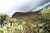 BOYACA "TIERRA DE NEVADOS" GÜICAN/COCUY