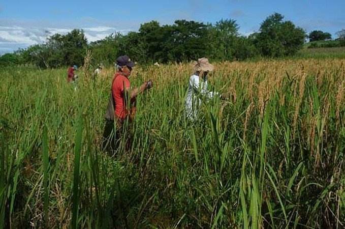 Planting And Harvesting Get Together