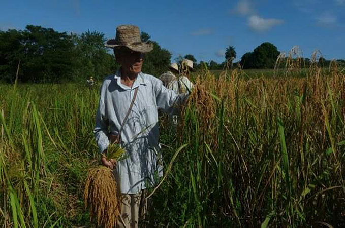 Planting And Harvesting Get Together