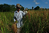 Planting and Harvesting Get Together