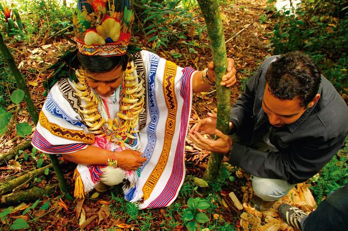 Ayén Sanación Ancestral Camentsa