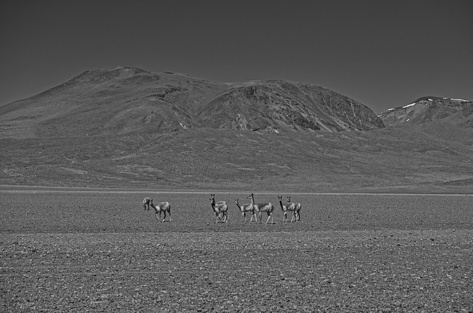 Parque Nacional De Sajama Y  Salar De Uyuni 3 Días / 2 Noche