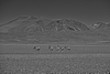 Parque Nacional De Sajama Y  Salar De Uyuni 3 Días / 2 Noche