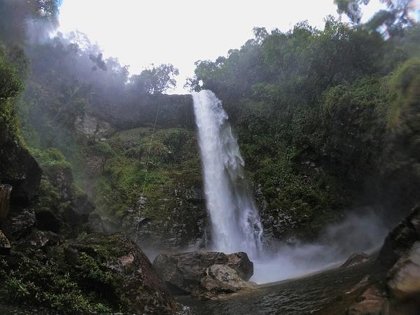 Conexión Con La Selva