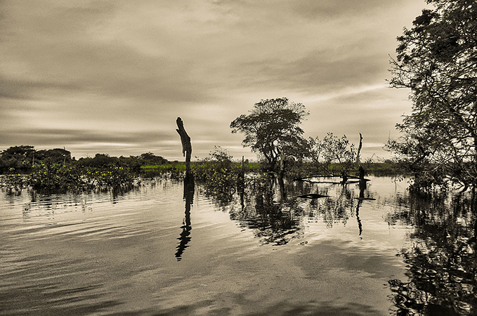 Madidi Y Pampas 5 Días 4 Noches 