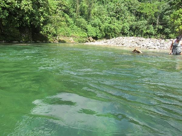 Conexión Con La Selva