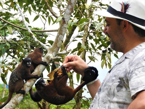 Conexión Con La Selva