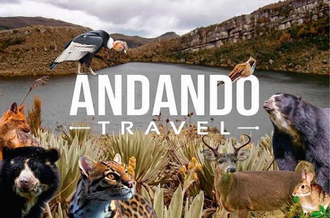 Andando Travel Colombia