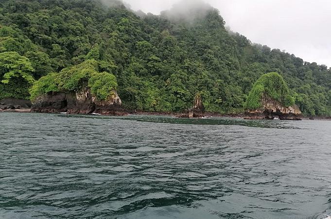 Avistamiento De Ballenas Nuquí