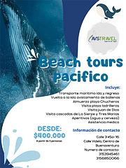 Beach Tour Pacifico