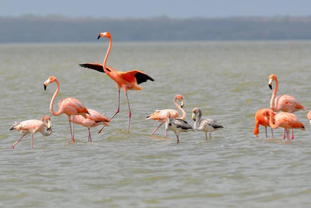 Desierto De La Guajira