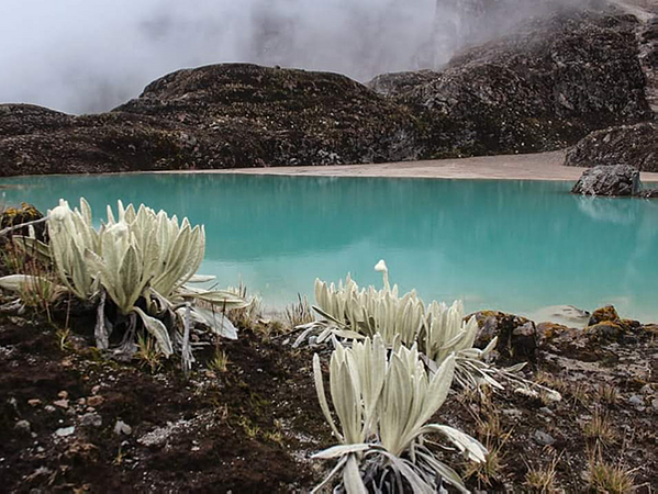 Expedición Nevado Del Huila