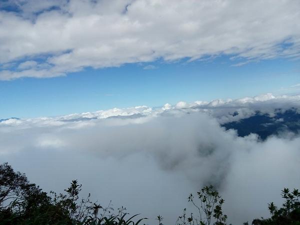 Senderismo En El Parque Nacional Natural Munchique