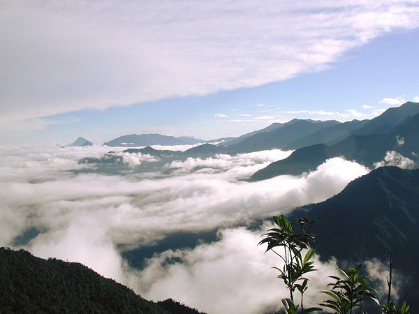 Senderismo En El Parque Nacional Natural Munchique