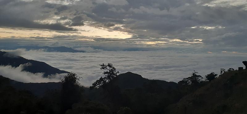 Senderismo En El Parque Nacional Natural Munchique