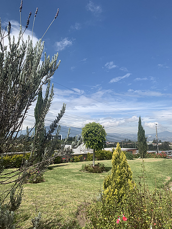 Casa De Huéspedes Las Hortensias