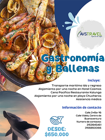 Gastronomía Y Ballenas 