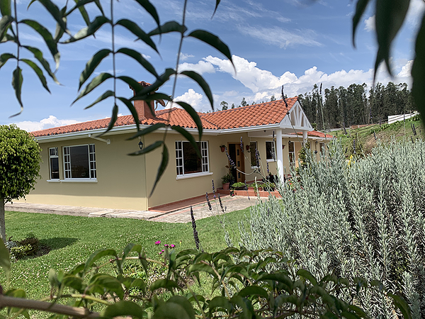 Casa De Huéspedes Las Hortensias