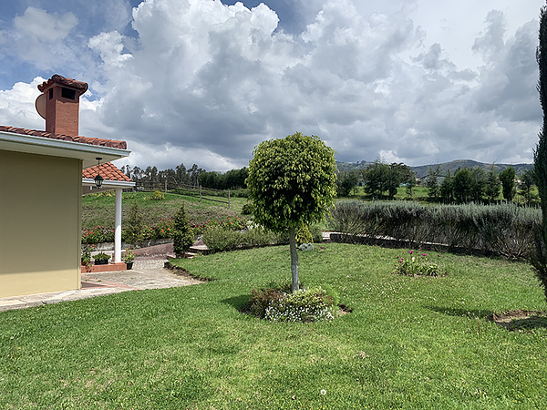 Casa De Huéspedes Las Hortensias