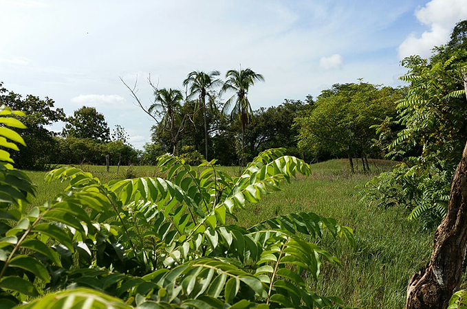 Tour Senderismo En Sabana