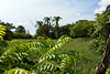 Tour Senderismo en Sabana