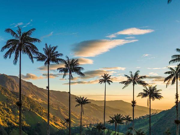 Tour Valle Del Cocora