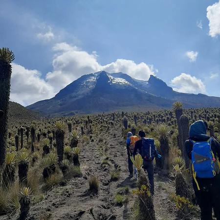 Nevado Del Tolima, Expedición 4 Días.