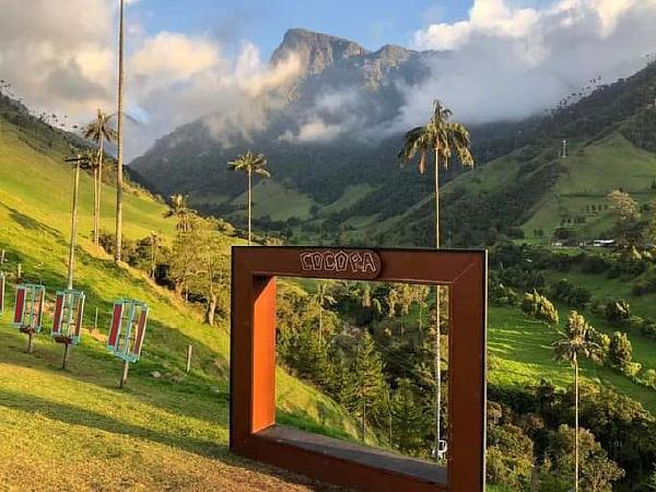 Tour Valle Del Cocora