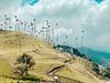 Tour Valle del Cocora