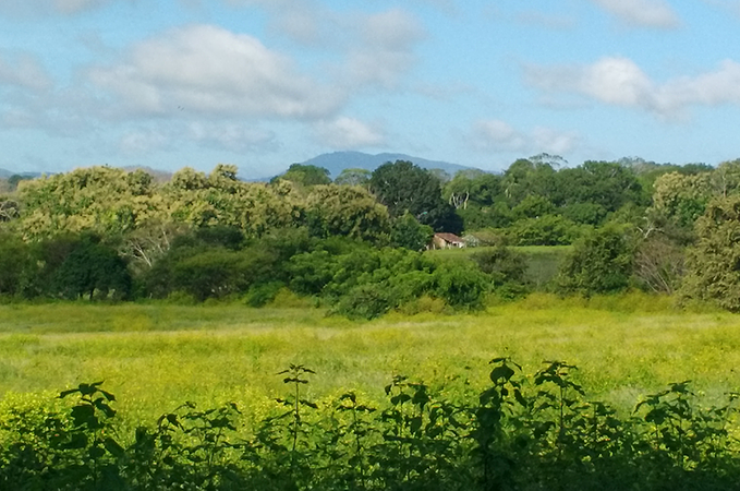 Tour Senderismo En Sabana