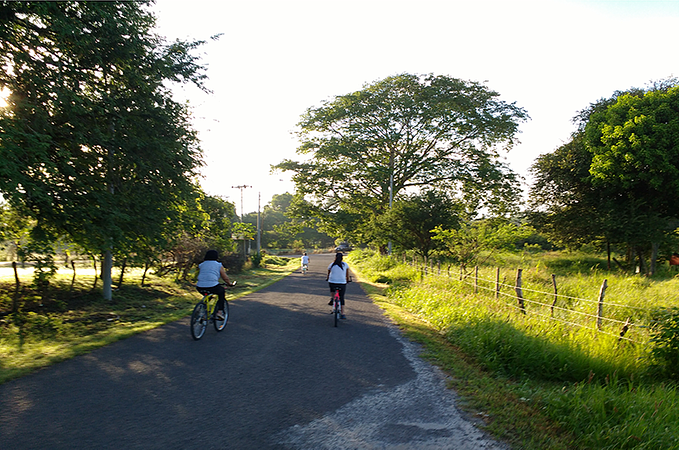 Tour Senderismo En Sabana