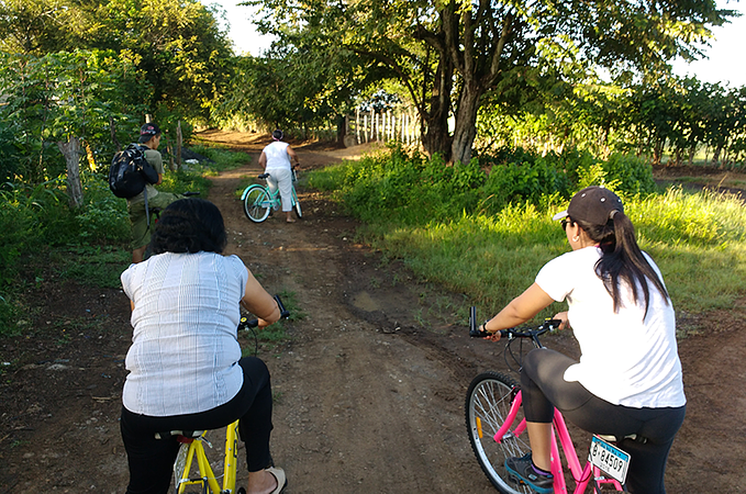 Tour Senderismo En Sabana