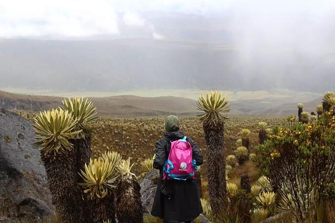 Nevado Del Tolima, Expedición 4 Días.