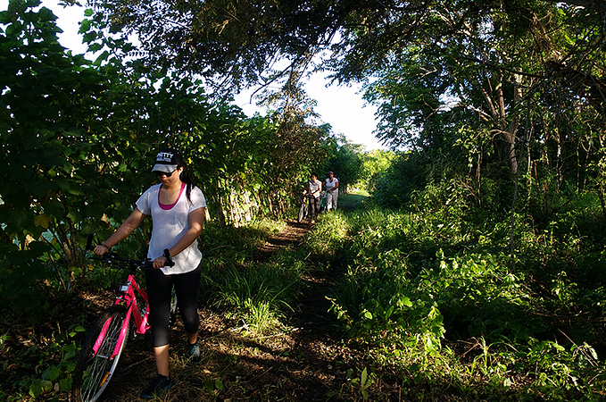 Tour Senderismo En Sabana