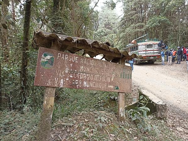 Senderismo En El Parque Nacional Natural Munchique