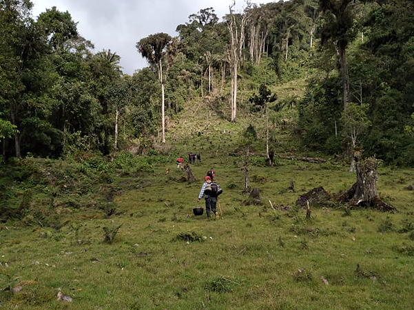 Expedición Nevado Del Huila