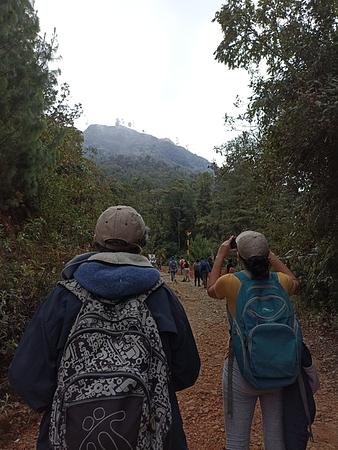 Senderismo En El Parque Nacional Natural Munchique