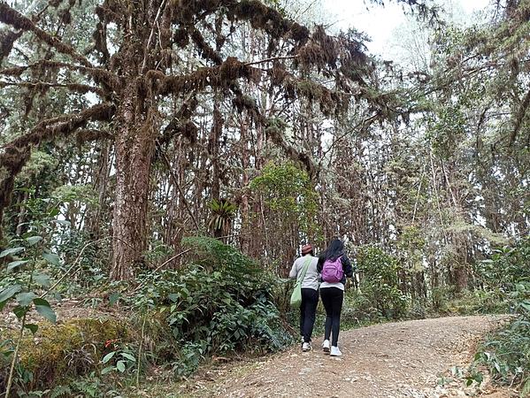 Senderismo En El Parque Nacional Natural Munchique