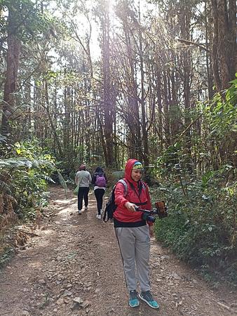 Senderismo En El Parque Nacional Natural Munchique