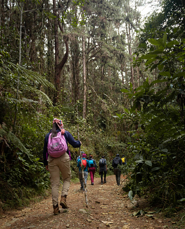 Senderismo En El Parque Nacional Natural Munchique