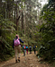 Senderismo en el parque Nacional Natural Munchique